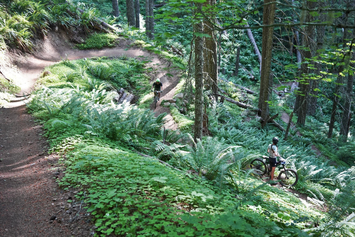 Access and Stewardship in the Oregon Cascades