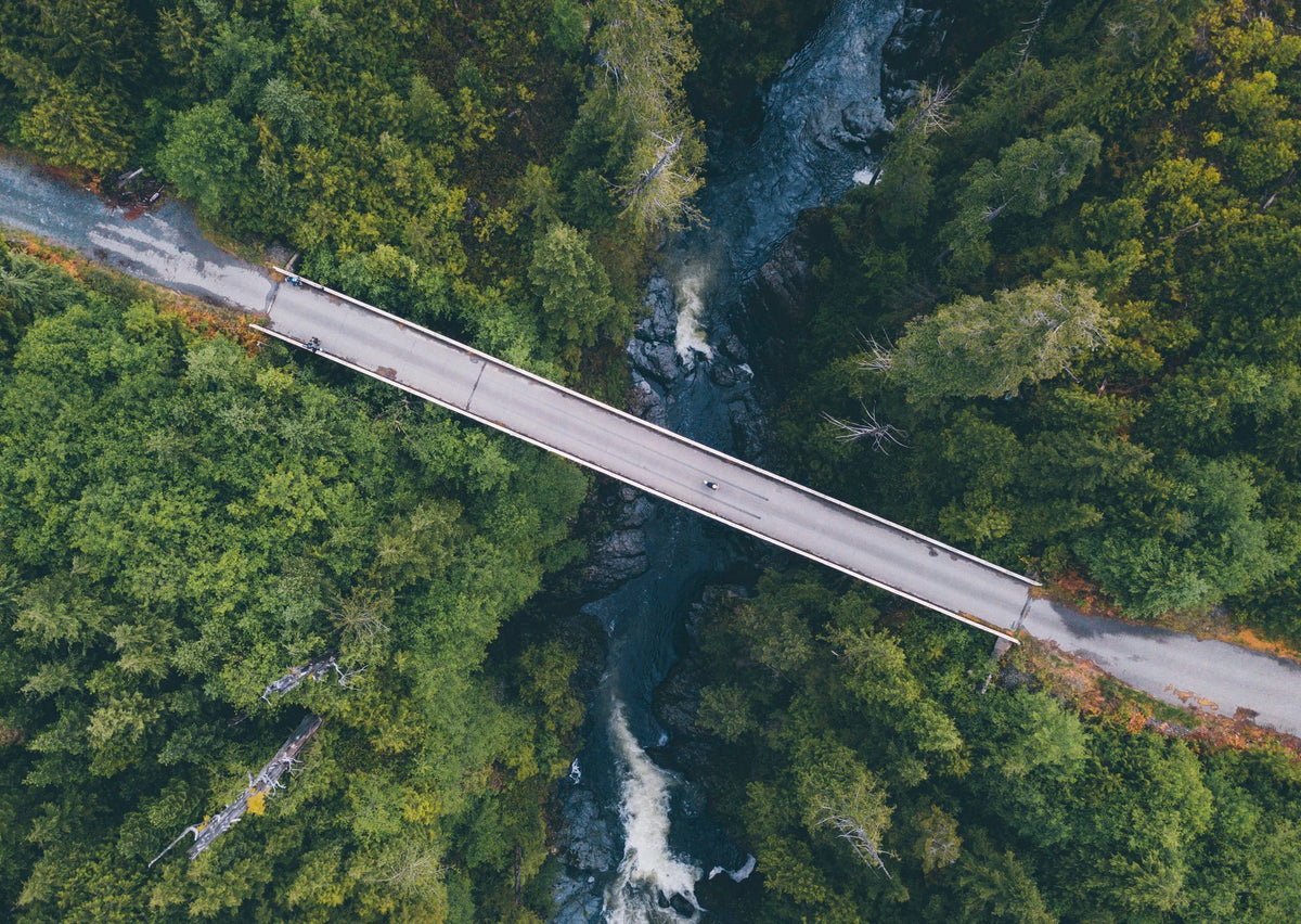 All About the Feels on Vancouver Island - Benjamin Johnson