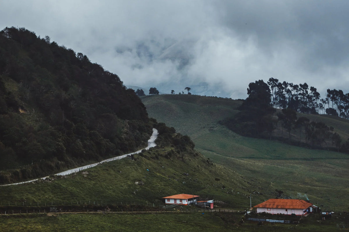 Off The Beaten Path: Colombia - Donalrey Nieva